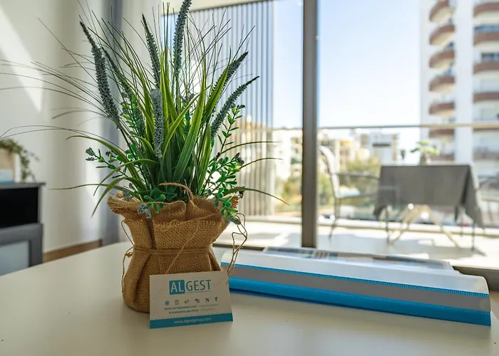 Maison O - Da Rocha *